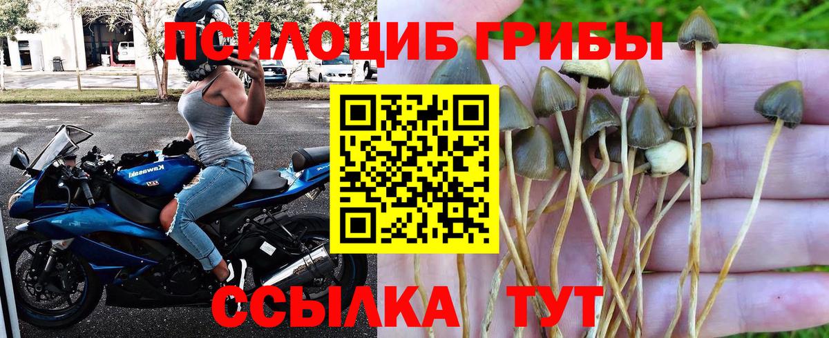Югорск  Псилоцибиновые грибы мухоморы  Вход с VPN 
